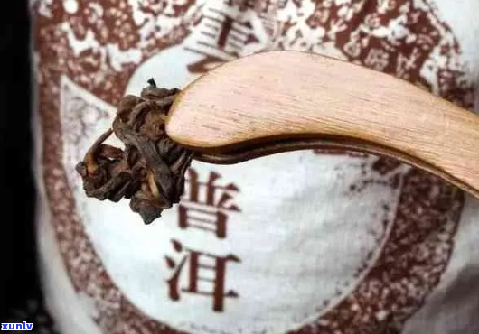 翘普洱茶的艺术：掌握正确 *** 与技巧，品鉴独特风味