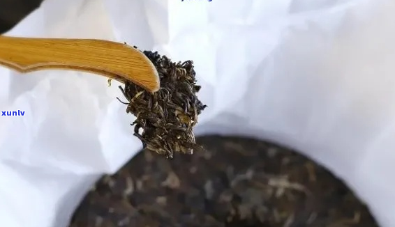 深入解析：普洱茶的撬茶技巧与步骤，让你轻松掌握泡出好茶的关键