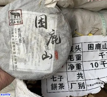 2013年困鹿山普洱茶价格走势与品质分析