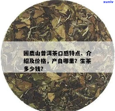 2013年困鹿山普洱茶价格走势与品质分析