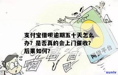 支付宝借呗上门流程解析及应对策略-支付宝借呗上门催调查是真的吗