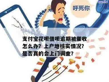 支付宝借呗上门流程解析及应对策略-支付宝借呗上门催调查是真的吗