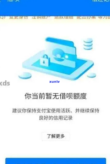 支付宝借呗上门流程解析及应对策略-支付宝借呗上门催调查是真的吗