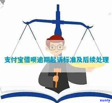 支付宝借呗上门流程解析及应对策略-支付宝借呗上门催调查是真的吗