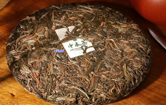 小白如何购买质量上乘的普洱茶饼？挑选关键指南