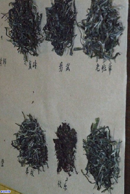 从小白到专家：选购普洱茶饼的关键因素与质量判断 *** 