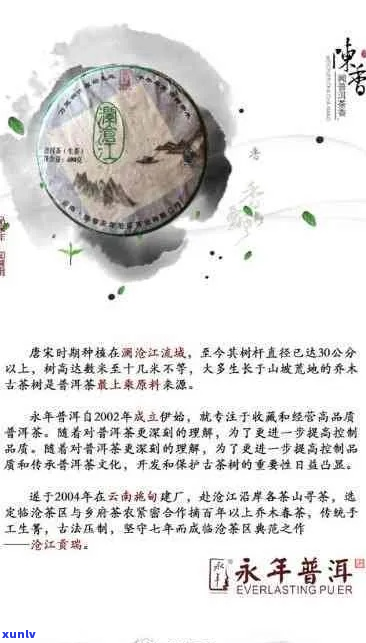 永明茶叶官方网站：探索永明茶业与永明茶厂