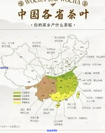 贵州茶叶市场：地理位置选择指南，哪个区域最适合？