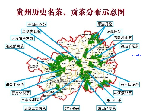 贵州茶叶市场：地理位置选择指南，哪个区域最适合？