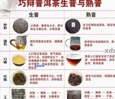 普洱茶6091:品种特点、 *** 工艺、品饮 *** 及适宜人群的全面解析