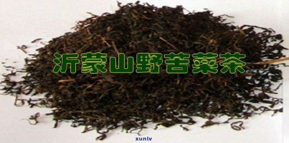 苦菜茶的益处与潜在风险：你真的了解吗？