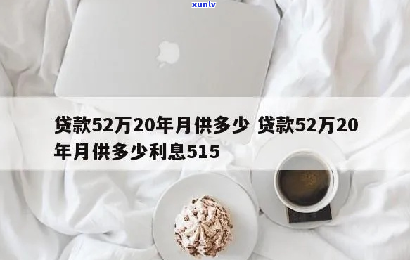 25万贷款还不上怎么处理-贷款25万不还会怎么样