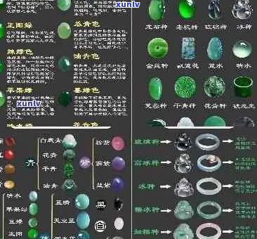 '翡翠都分哪几种种类，颜色，类型和等级：全面解析翡翠分类体系'