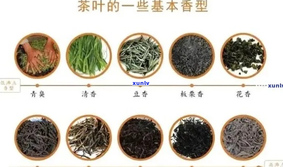 林清茶的全品类分析：产地、 *** 工艺、口感特点及适合搭配食物一文解析