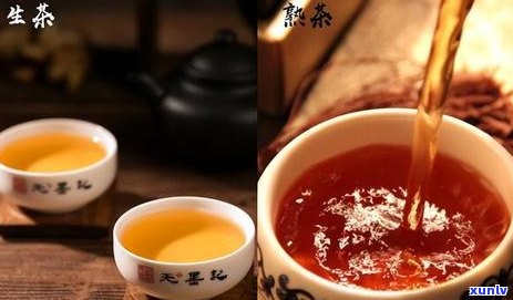 普洱茶适合冬天喝吗？为什么？