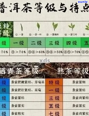 普洱茶：茶叶类别的全面解析及其是否属于食品类别