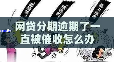 分期金融网贷逾期怎么办-分期金融网贷逾期怎么办理