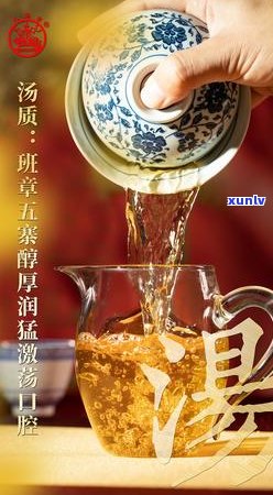 八角亭的班章生态茶：品鉴感受与评价