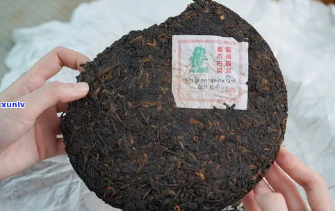 五年陈普洱茶：保存得当的话，它会是怎样的味道？会有害健吗？