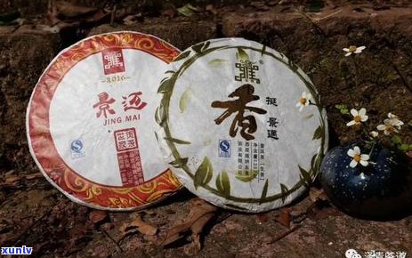 新中国普洱茶的分布区域及特色介绍，探索茶香四溢的魅力之地