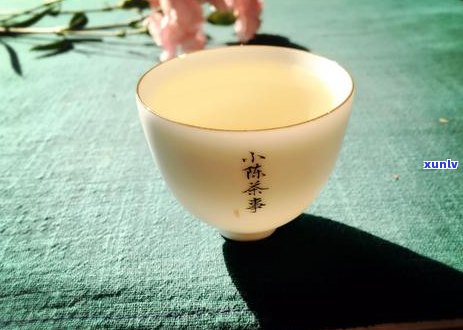 新中国普洱茶的分布区域及特色介绍，探索茶香四溢的魅力之地