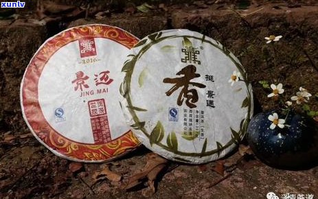 新中国普洱茶的分布区域及特色介绍，探索茶香四溢的魅力之地