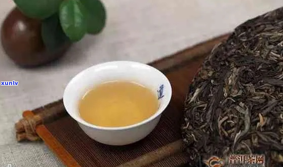 普洱茶马鞍山生茶值得收藏吗？马鞍山普洱茶价格、特点及古树茶多少钱一斤？