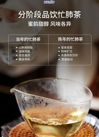 普洱茶放多少年有味？好喝的年限是多少？存放多久就不能再喝了？