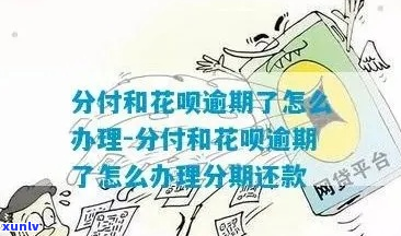 怎样先还花呗逾期的那一部分钱该怎么操作-花呗怎么先还上期剩余未还