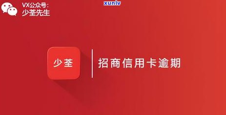 招商银行信用卡20万逾期6个月怎么处理-招商逾期20万一年了