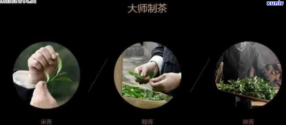 普洱茶制茶大师-普洱茶制茶大师十大排名