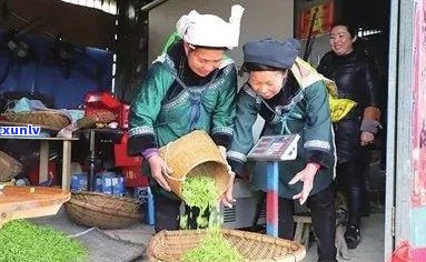 小芽贷逾期最新规定-小芽贷逾期最新规定是什么