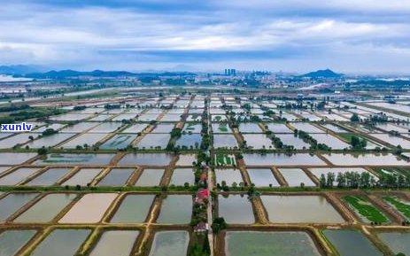 建设银行减免利息成功后怎么处理-建设银行减免利息成功后怎么处理呢