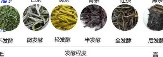 普洱茶颜色差异解析：了解不同种类和 *** 工艺的影响因素