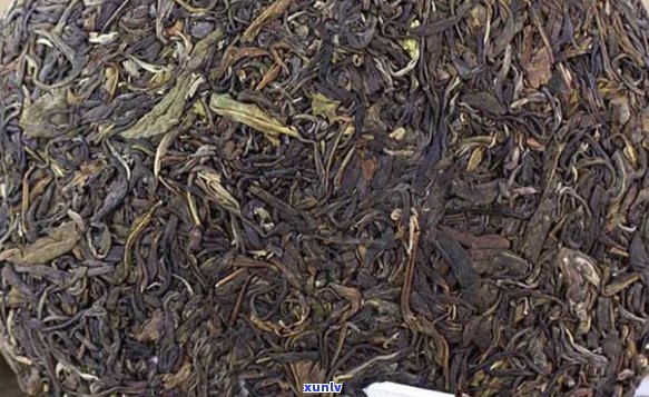 普洱茶：生茶、熟茶的微妙区别及其品鉴技巧