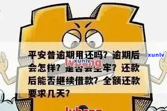 平安金融欠款如何处理-平安金融欠款如何处理流程