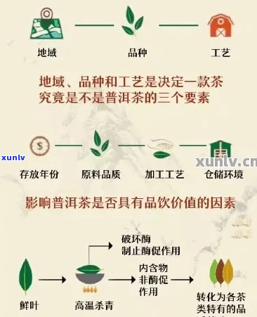 如何通过 *** 普洱茶实现盈利？了解完整流程与市场前景