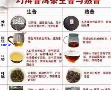 普洱茶珍藏：了解与鉴的全方位指南