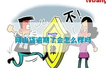 山信用贷款逾期怎么办-信用贷款逾期了怎么办