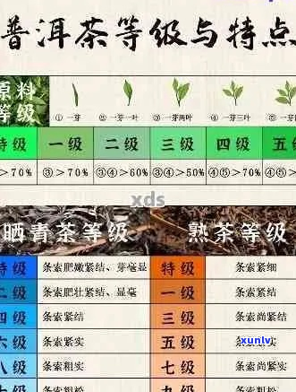 普洱茶的香型及其转变过程和特点解析