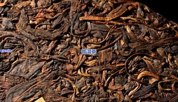 普洱茶陈年口感与品质的影响因素及其适用范围详解