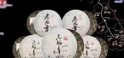 易武茶与老班章茶：一场品质之争