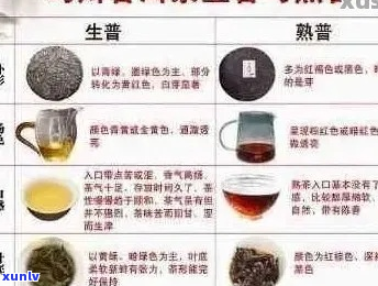 新探索国有林普洱茶产地、品种与品鉴 *** ：一篇全面指南