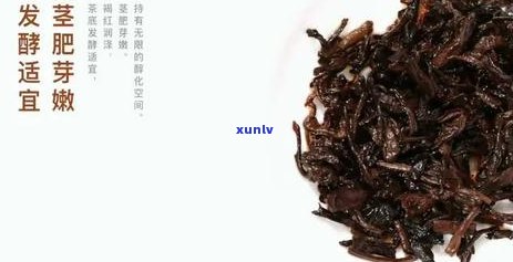 新大益牌普洱茶：独特风味、陈化潜力和健益处的完美结合