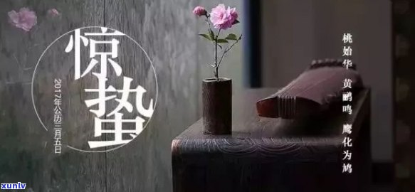 生普一般是什么香：探究其独特的芳香魅力与功效