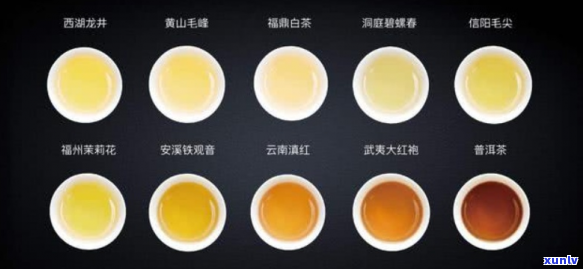 黑与白：红茶罐选择之战，哪一款更能满足你的口感需求？