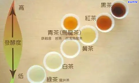 红茶白瓶与黑瓶：包装差异及口味特点对比解析