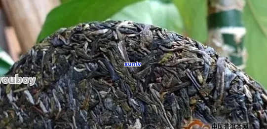 昔归普洱茶熟茶特点：口感醇厚，功效显著，生茶独特，熟茶更香。