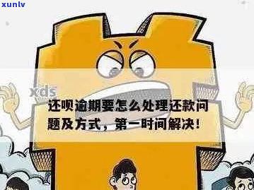 还款逾期咋办应该怎么处理-还款逾期咋办应该怎么处理呢