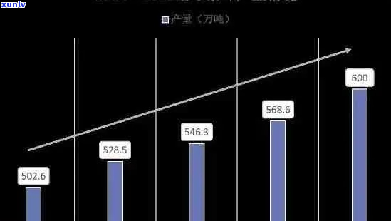 普洱茶未来价格趋势分析及市场前景展望，了解行业动态与投资机会